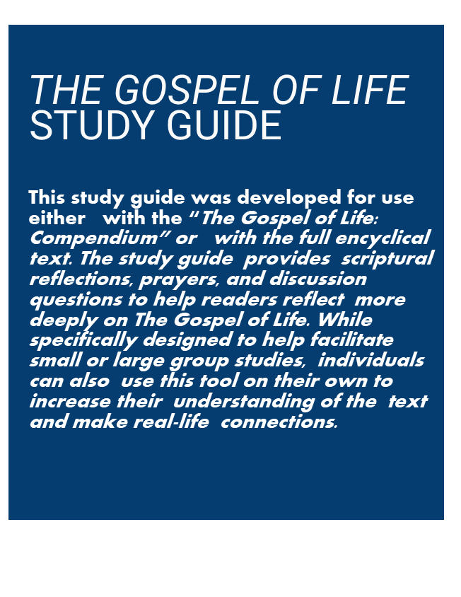 Respect Life Catholic Diocese of Grand Island Catholic Diocese of, Grand Island, Nebraska